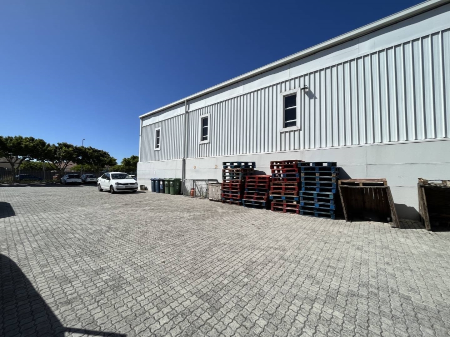 To Let commercial Property for Rent in Montague Gardens Western Cape